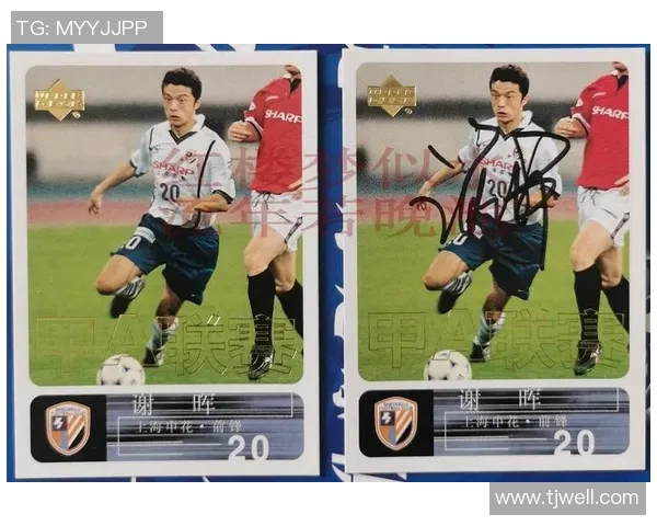 大连足球球星成长历程与辉煌成就的全面解析